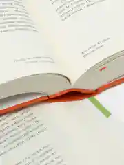 Полка: О главных книгах русской литературы (2 тома)