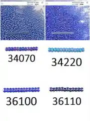 Бисер чешский Preciosa 10/0, круглый, 10 г, цвета 10000-40000