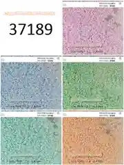 Бисер чешский Preciosa 10/0, круглый, 10 г, цвета 10000-40000