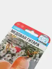 Тыква Медовая Гитара (семена)