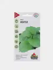 Семена Мята Ментол , удачные семена