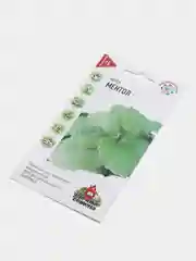Семена Мята Ментол , удачные семена