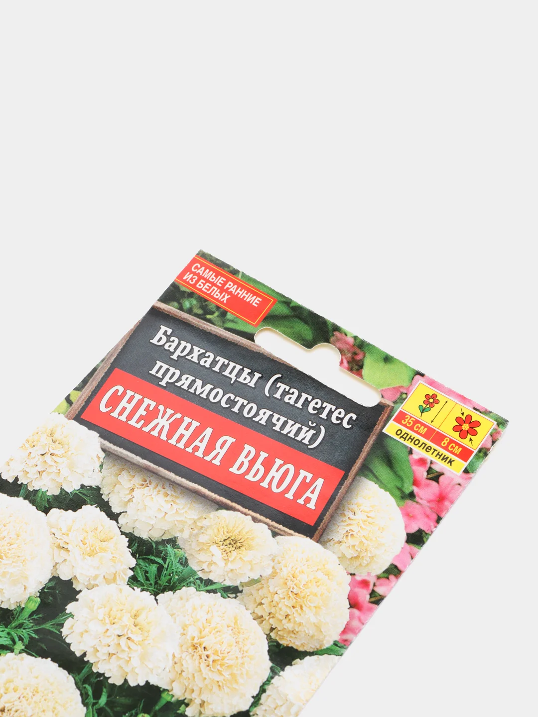 Бархатцы, тагенас прямостоячий, Снежная вьюга, семена, Аэлита
