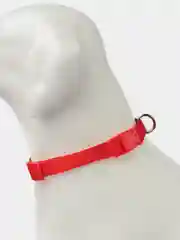 Красный ошейник нейлоновый для собак