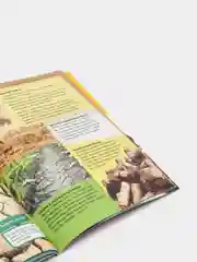 Детская энциклопедия. Природные бедствия. Книга