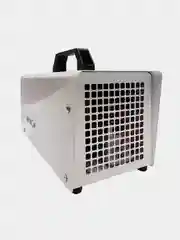 Озонатор воздуха Аксион П-5