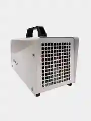 Озонатор воздуха Аксион П-40