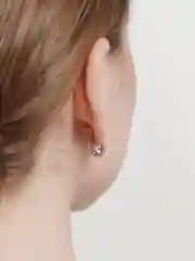 Серьги гвоздики