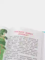 Книга для детей "Малышкина почемучка. Чтение для малышей"
