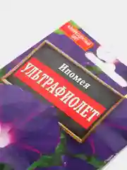 Ипомея Ультрафиолет (семена,цветы)