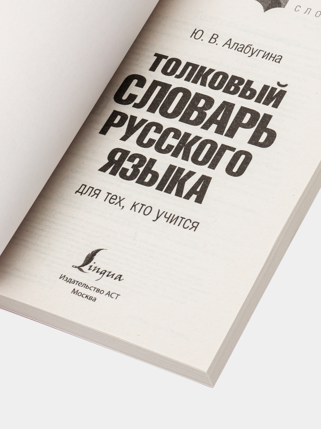 Толковый словарь русского языка, Ю.В. Алабугина купить по цене 289 ₽ в  интернет-магазине KazanExpress