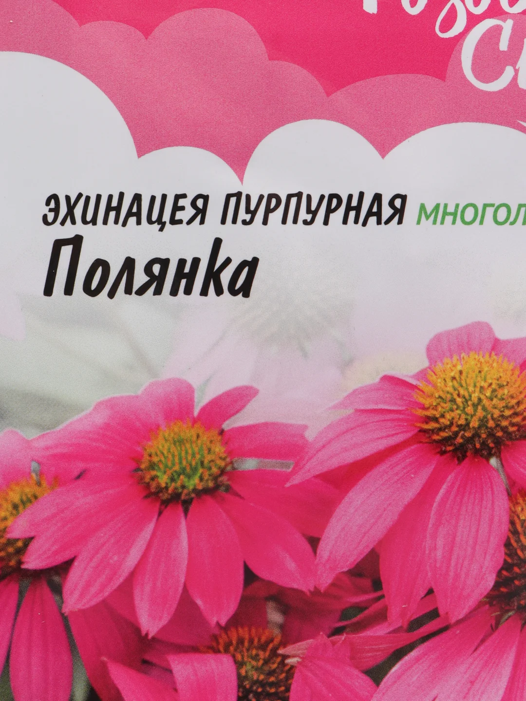 Эхинацея (Рудбекия) Полянка (семена,цветы)