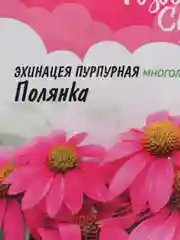 Эхинацея (Рудбекия) Полянка (семена,цветы)