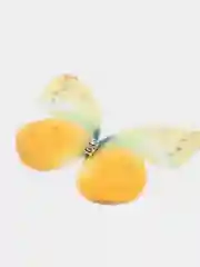 Желтый шифоновые бабочки, 4,5 см, 2 штуки