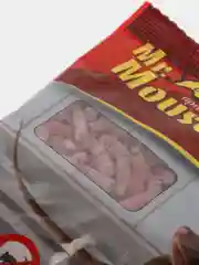 Гранулы от крыс и мышей Mr.Mouse, 100 г