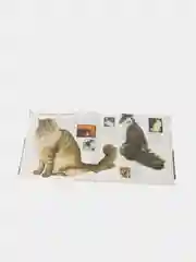 Кошки. Все породы. Энциклопедия