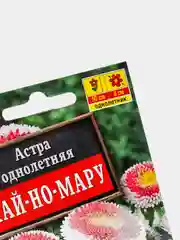 Семена цветов Астра "Хай-но-мару", помпонная