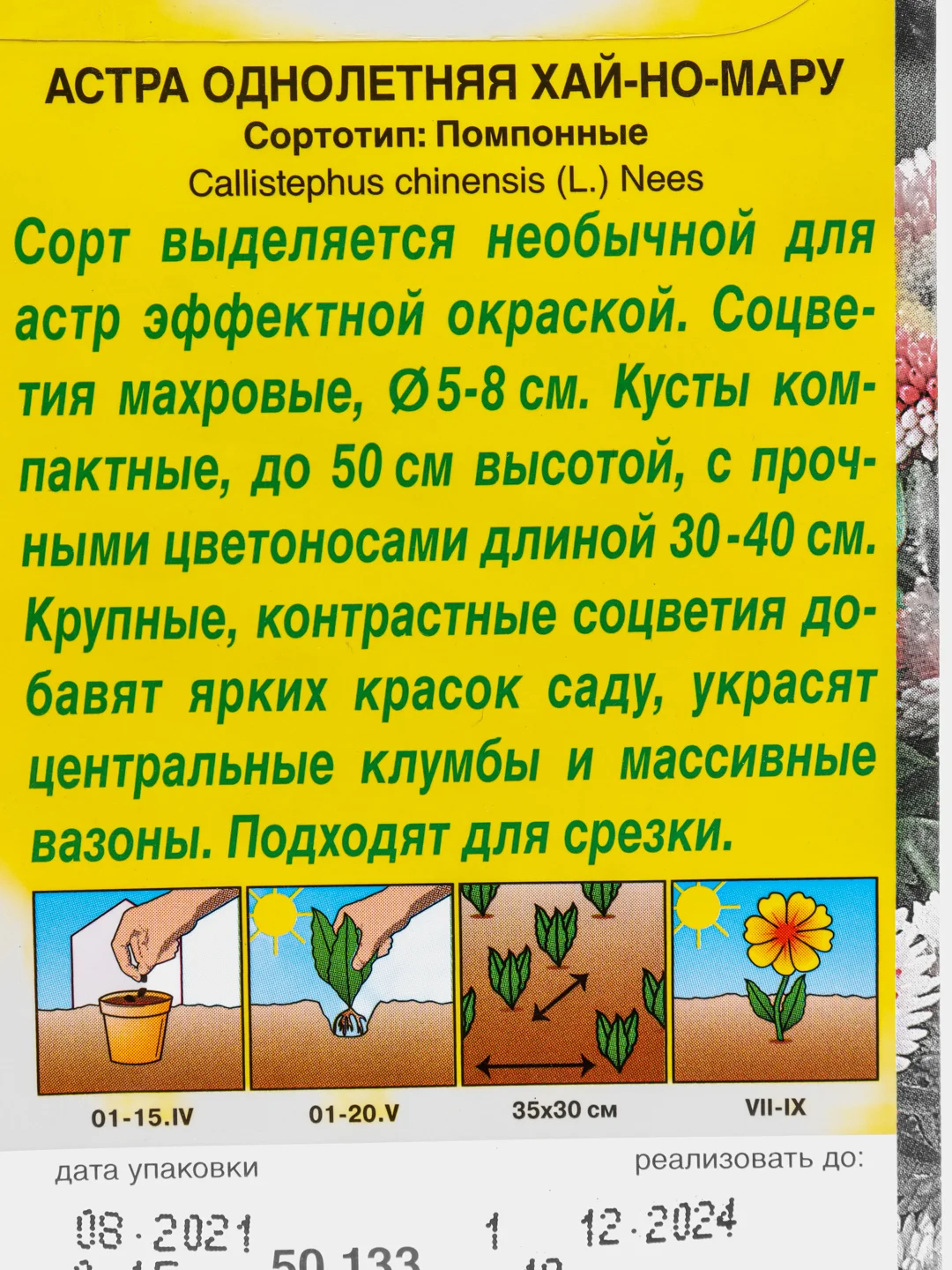 Семена цветов Астра "Хай-но-мару", помпонная