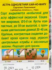Семена цветов Астра "Хай-но-мару", помпонная
