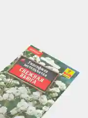 Гипсофила "Снежная вьюга", семена, цветы