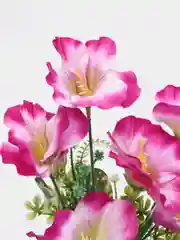 Аметистовый искуственные цветы Фрезии