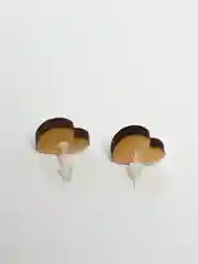 Серьги гвоздик смола деревянные сердце сердечко серебро серебрянные гипоаллергенные