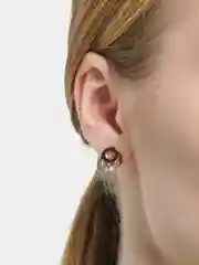 Гвоздики