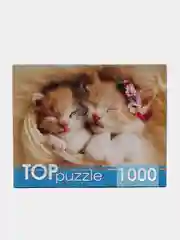 Коричневый пазлы, 1000 элементов