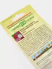 Серый семена. Космос (Космея) Разноцветные огни, смесь, цветы садовые