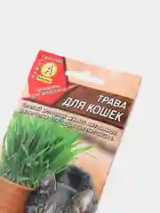 Трава Для Кошек (семена)