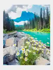 Алмазная мозаика "Природа в горах" 40*50 см на подрамнике, полная выкладка