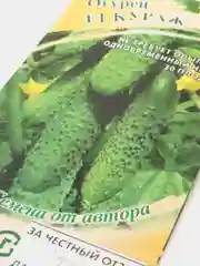 Огурец Кураж, семена