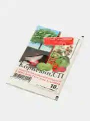 Регулятор роста "Корневин" 10г