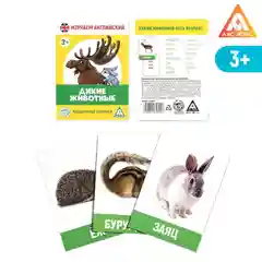 Желтый обучающие карточки "Изучаем английский", 12 тем, 3+