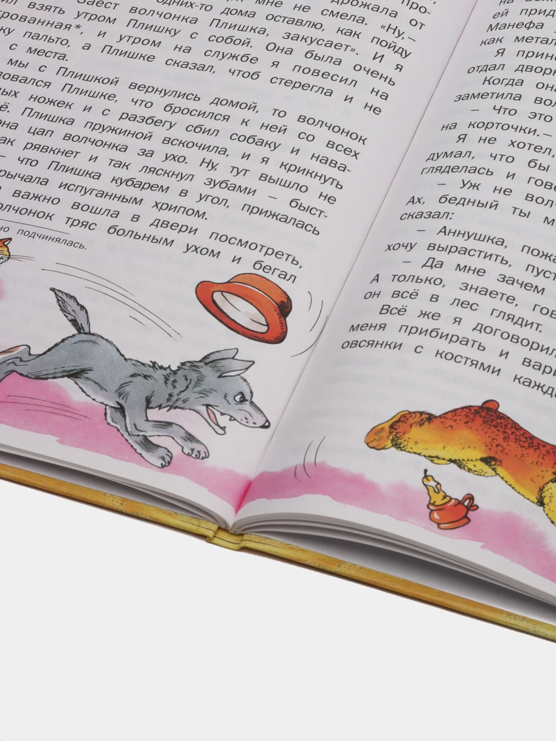 Книга для детей Рассказы о животных. Борис Житков