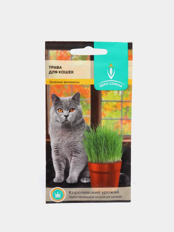 Семена "Трава для кошек", 10 г