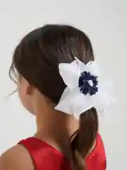 Синий бант