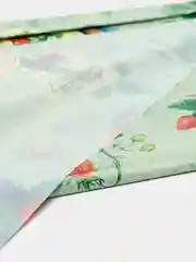 Мятный скатерть для пикника одноразовая