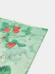 Мятный скатерть для пикника одноразовая