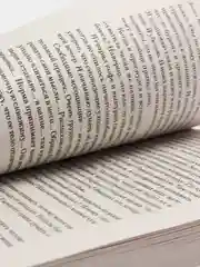 Цветы для Элджернона, Дэниел Киз