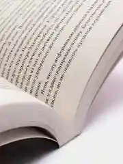 Цветы для Элджернона, Дэниел Киз