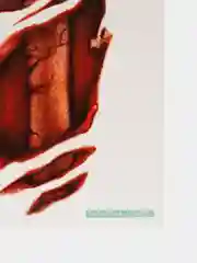 Хаки веменные переводные/переводилки татуировки на Хеллоуин