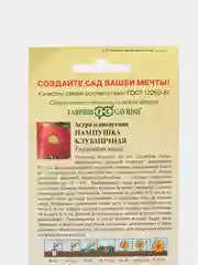 Семена цветов Астра однолетняя "Пампушка клубничная" помпонная, 0,3 г