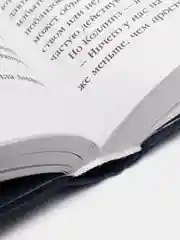 Шепот за окном, Алекс Норт