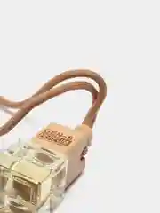 Автопарфюм GEN-S