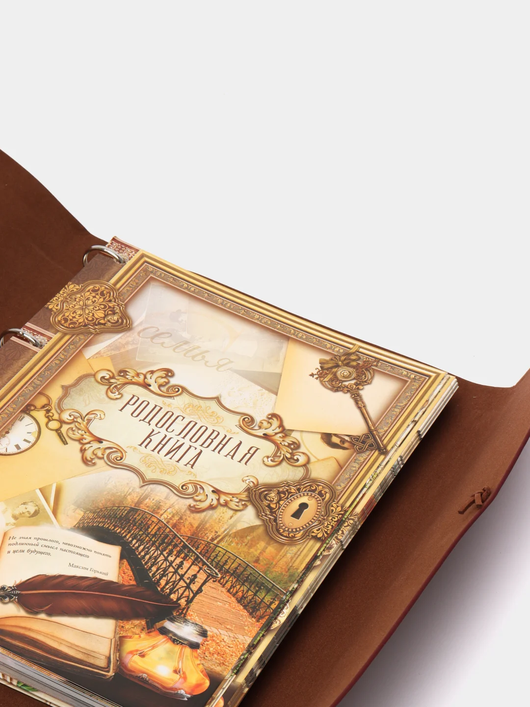 Родословная книга "Наш род", 65 листов, бордо, 35 х 23.5 см