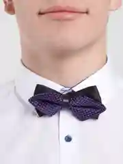 Фиолетовый бабочка двойная