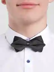 Угольный бабочка двойная