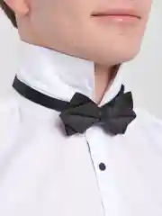 Угольный бабочка двойная