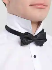 Хром бабочка двойная
